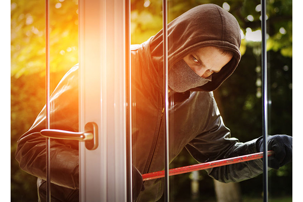 Gates Security - Burglar
